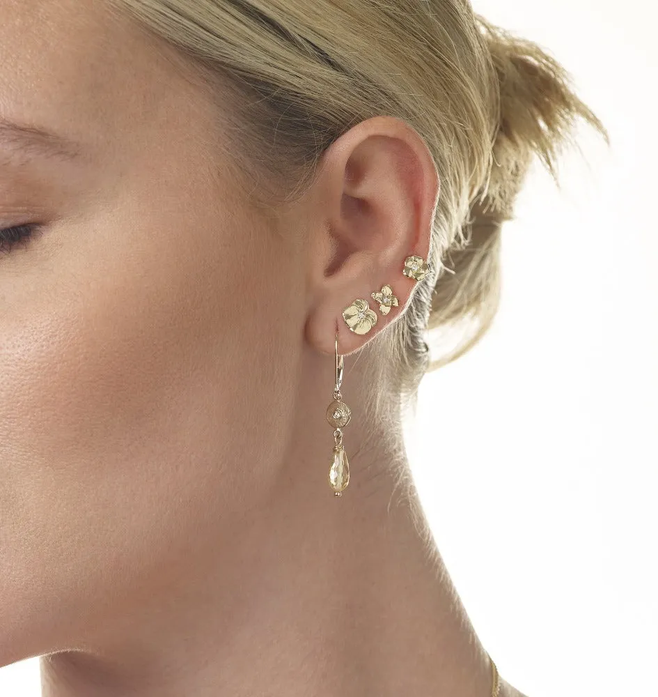 Dangle Disk Earrings With Diamond And Carnelian